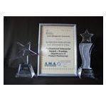 Professional Enterprise and Significance in Product Positioning Awards 2007