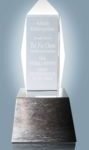 Asian Entrepreneur of the Year Overall Winner Award 2010